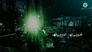 برای امام زمان(عج).مرحوم سیدمحمدباقرعلوی