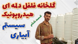 بازدید از گلخانه فلفل دلمه‌ای هیدروپونیک (قسمت ششم)