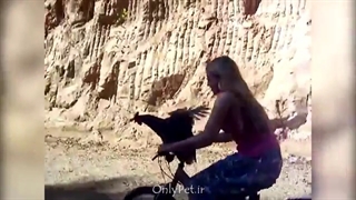 بامزهها و بانمکهای دنیای پرندگان !