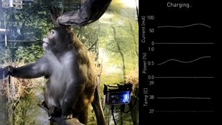 مراسم Show and Tell نورالینک با حضور ایلان ماسک
