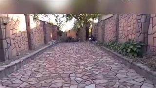 سنگ لاشه جوینده
