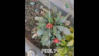 تست و مقایسه دوربین گوشی های INFINIX Zero 5G 2023 با iPhone 14 با Google Pixel 7