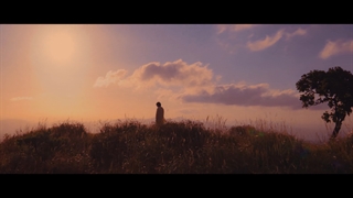 موزیک ویدئو آهنگ جدید Wild Flower (گُل وحشی) از نامجون با همکاری جو یوجین با زیرنویس فارسی آنلاین