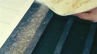 رگه سنگ مصنوعی