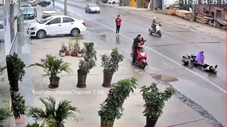 مرگ بر این فرهنگ،مرگ بر این زندگی حیوانی...