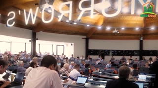 How to start up a new business plan | 7092 555 999 | NFBD Group