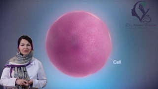 بیماری میگرن ارثی است؟