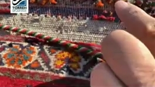 بیدخوردگی چیست ؟