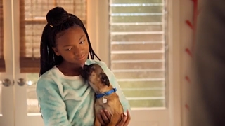 Puppy Place — Official Trailer