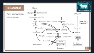 وبینار آموزشی بیوهیدروژناسیون و متابولیسم اسیدهای چرب در شکمبه