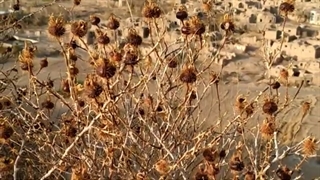 نمایی از روستای قدیم خانیک 1401