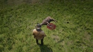 20 Insane Details in Red Dead Redemption 2 (RDR2 Small Details)