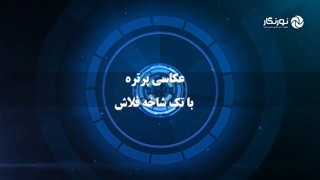 عکاسی با فلاش تک نور | نورنگار