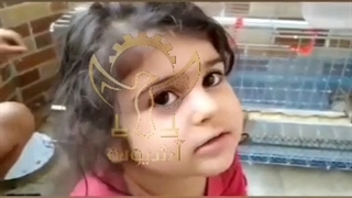 رضایت مشتری عزیزمان از قفس خانگی بلدرچین