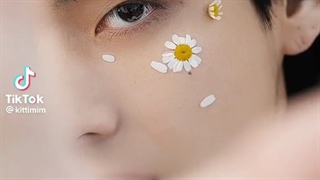 شاهزاده رویاها که میگن ایشونن