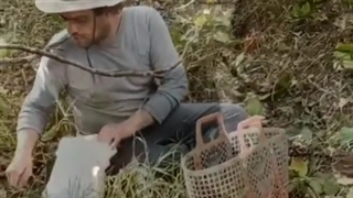 ارمیس تئاتر و سینما