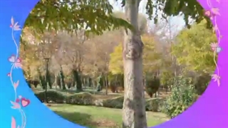 آموزش عکاسی