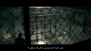 نهار چی میخوره ایلان ماسک؟