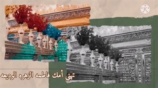 یاحجه الله.مرحوم سیدمحمدباقرعلوی