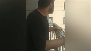 ارمیس در آرزوی شهرت جهانی