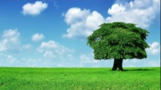 نقشه شیطانی قارون