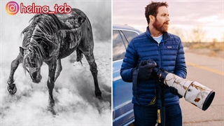 عکاس حیات‌وحش که علی رغم ابتلا به مرحله 4 سرطان هم‌چنان به کار خود ادامه می‌دهد.