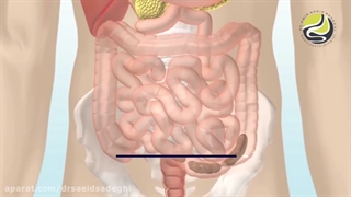 انیمیشن آموزشی: نحوه عملکرد دستگاه گوارش!
