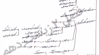 خلاصه زیست دهم بصورت مجموعه نمودار درختی!