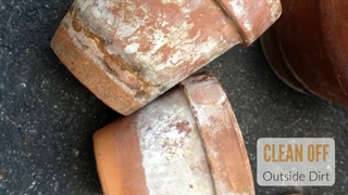 تمیز کردن گلدان سفالی