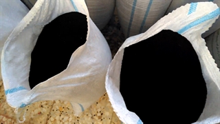 قیمت سیاه دانه امروز