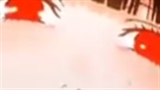 مبارککک باشه