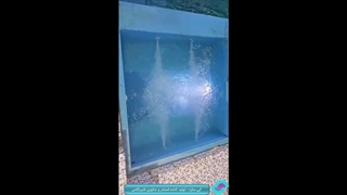 استخر فایبرگلاس به ابعاد 3 در هفت متر و جکوزی 1.5 در 1.5