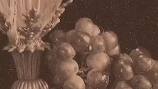 دزیره؟اوژنی؟ پریزاد؟