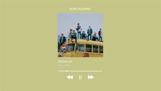 Stray Kids Study & Chill Playlist