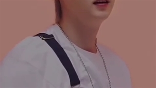 گربه کیوت آرمیا