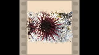 قصه دیجیتال