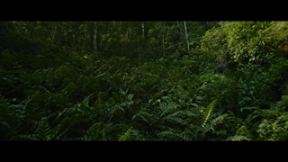 تریلر فوق العاده جذاب تبدیل شوندگان: ظهور جانوران