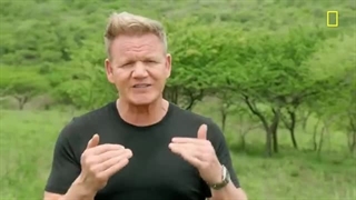 Gordon Ramsay: Uncharted