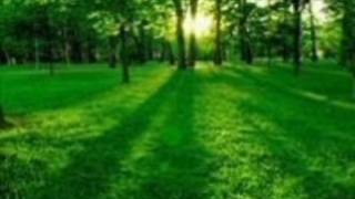 شبهات امامت-امتخاب الهی یا قرداد اجتماعی