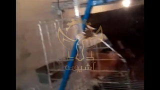 رضایت مشتری عزیزمان از قفس مرغ منبری