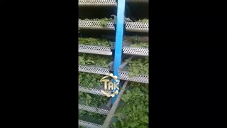 دستگاه خشک کن سبزی دستگاه خشک کن میوه