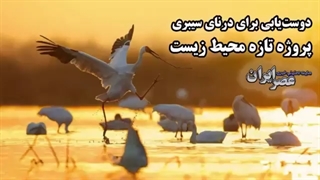 سازمان محیط زیست به جای کارهای لوکس، تالاب ها را احیا کند