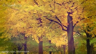 دیش و میش __ قسمت 4