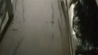 مه پاش نیم تا دو اسب بخار قارچ پروانه ای رطوبت ساز09190951876