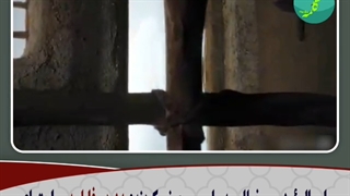 از فاطمه سلام‌الله‌علیها سوال کنید چه اتفاقاتی افتاد؟