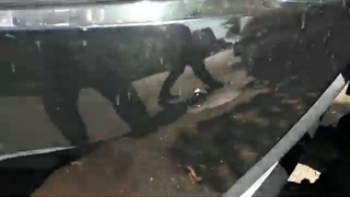 نصب آپشن های یاریس در تهران-گندم کار