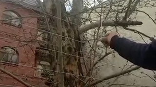 تست آلارم اتصال کوتاه فنس الکتریکی