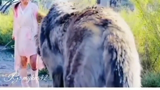 میکس سریال گماشتگان شاهزاده