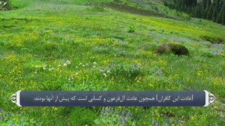 03_سوره آل عمران_ترجمه گویا_آیه۱تا۷۰