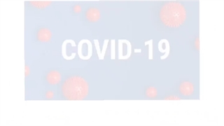 2 خودروچینی که وارد بازار آمریکا شدند